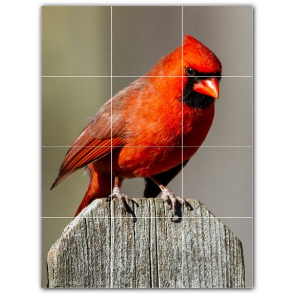 Picture-Tiles.com: Bird Ceramic Tile Wall Mural WAL500160-34L. 24"W x 32"H using (12) 8" x 8" Ceramic Tiles-Satin Finish