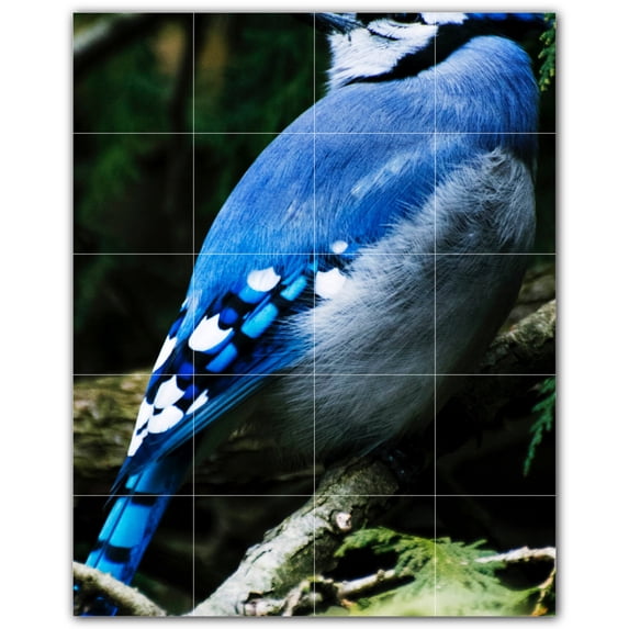 Picture-Tiles.com: Bird Ceramic Tile Wall Mural WAL500164-45L. 32"W x 40"H using (20) 8" x 8" Ceramic Tiles-Satin Finish