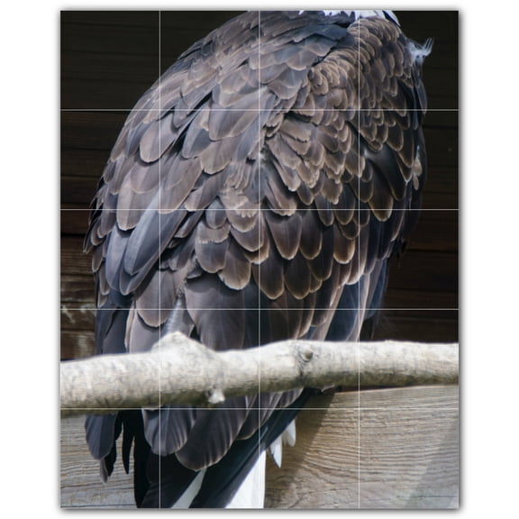 Picture-Tiles.com: Bird Ceramic Tile Wall Mural WAL500166-45M. 24"W x 30"H using (20) 6" x 6" Ceramic Tiles-Satin Finish