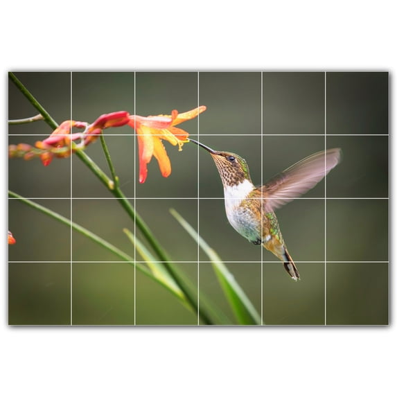 Picture-Tiles.com: Bird Ceramic Tile Wall Mural WAL500173-64S. 25.5"W x 17"H using (24) 4.25" x 4.25" Ceramic Tiles-Satin Finish