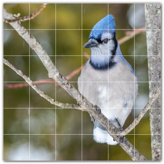 Picture-Tiles.com: Bird Ceramic Tile Wall Mural WAL500175-66S. 25.5"W x 25.5"H using (36) 4.25" x 4.25" Ceramic Tiles-Satin Finish