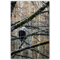 Picture-Tiles.com: Bird Ceramic Tile Wall Mural WAL500176-46S. 17"W x 25.5"H using (24) 4.25" x 4.25" Ceramic Tiles-Satin Finish