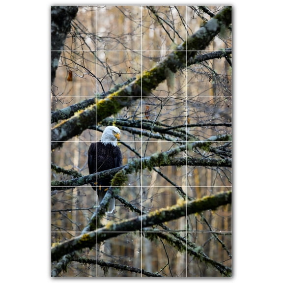 Picture-Tiles.com: Bird Ceramic Tile Wall Mural WAL500176-46S. 17"W x 25.5"H using (24) 4.25" x 4.25" Ceramic Tiles-Satin Finish