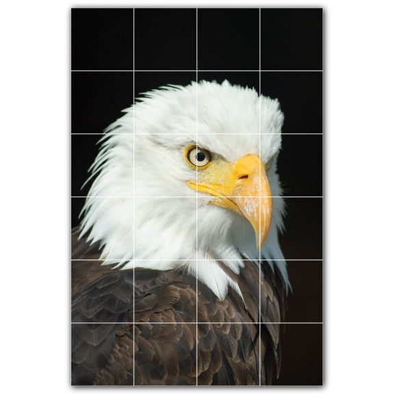 Picture-Tiles.com: Bird Ceramic Tile Wall Mural WAL500194-46M. 24"W x 36"H using (24) 6" x 6" Ceramic Tiles-Satin Finish