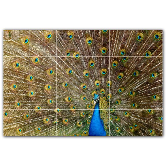 Picture-Tiles.com: Bird Ceramic Tile Wall Mural WAL500197-64M. 36"W x 24"H using (24) 6" x 6" Ceramic Tiles-Satin Finish