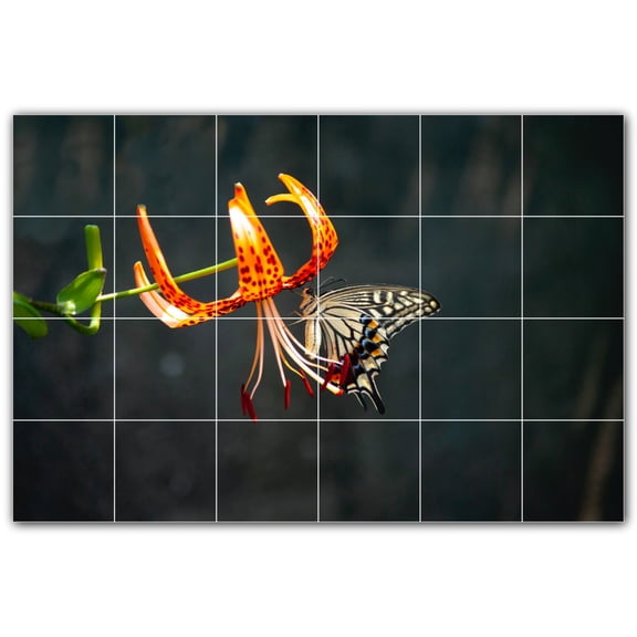 Picture-Tiles.com: Butterfly Ceramic Tile Wall Mural WAL500276-64L. 48"W x 32"H using (24) 8" x 8" Ceramic Tiles-Satin Finish