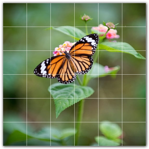 Picture-Tiles.com: Butterfly Ceramic Tile Wall Mural WAL500280-66S. 25.5"W x 25.5"H using (36) 4.25" x 4.25" Ceramic Tiles-Satin Finish