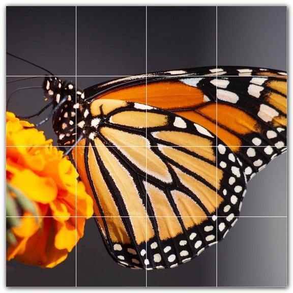 Picture-Tiles.com: Butterfly Ceramic Tile Wall Mural WAL500283-44L. 32"W x 32"H using (16) 8" x 8" Ceramic Tiles-Satin Finish
