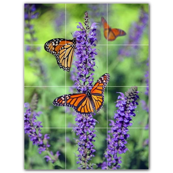 Picture-Tiles.com: Butterfly Ceramic Tile Wall Mural WAL500288-34XL. 36"W x 48"H using (12) 12" x 12" Ceramic Tiles-Satin Finish