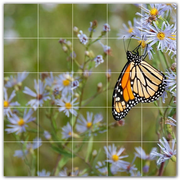 Picture-Tiles.com: Butterfly Ceramic Tile Wall Mural WAL500292-55L. 40"W x 40"H using (25) 8" x 8" Ceramic Tiles-Satin Finish