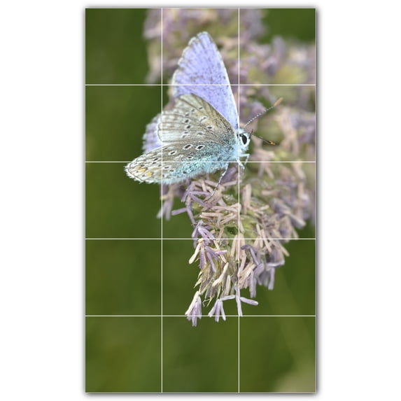 Picture-Tiles.com: Butterfly Ceramic Tile Wall Mural WAL500298-35M. 18"W x 30"H using (15) 6" x 6" Ceramic Tiles-Satin Finish