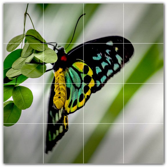 Picture-Tiles.com: Butterfly Ceramic Tile Wall Mural WAL500311-44M. 24"W x 24"H using (16) 6" x 6" Ceramic Tiles-Satin Finish