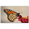 thumbnail image 1 of Picture-Tiles.com: Butterfly Ceramic Tile Wall Mural WAL500313-53XL. 60"W x 36"H using (15) 12" x 12" Ceramic Tiles-Satin Finish, 1 of 3