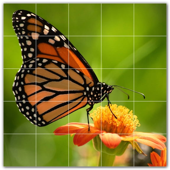 Picture-Tiles.com: Butterfly Ceramic Tile Wall Mural WAL500314-55S. 21.25"W x 21.25"H using (25) 4.25" x 4.25" Ceramic Tiles-Satin Finish