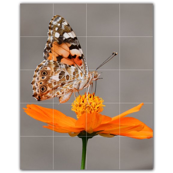 Picture-Tiles.com: Butterfly Ceramic Tile Wall Mural WAL500315-45L. 32"W x 40"H using (20) 8" x 8" Ceramic Tiles-Satin Finish