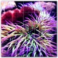 thumbnail image 1 of Picture-Tiles.com: Coral Ceramic Tile Wall Mural WAL500403-55S. 21.25"W x 21.25"H using (25) 4.25" x 4.25" Ceramic Tiles-Satin Finish, 1 of 3