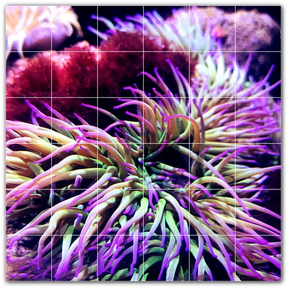 Picture-Tiles.com: Coral Ceramic Tile Wall Mural WAL500403-66M. 36"W x 36"H using (36) 6" x 6" Ceramic Tiles-Satin Finish