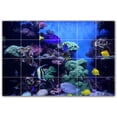 thumbnail image 1 of Picture-Tiles.com: Coral Ceramic Tile Wall Mural WAL500428-64M. 36"W x 24"H using (24) 6" x 6" Ceramic Tiles-Satin Finish, 1 of 3