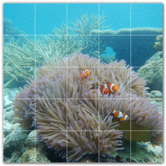 Picture-Tiles.com: Coral Ceramic Tile Wall Mural WAL500431-55S. 21.25"W x 21.25"H using (25) 4.25" x 4.25" Ceramic Tiles-Satin Finish