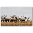 thumbnail image 1 of Picture-Tiles.com: Deer Ceramic Tile Wall Mural WAL500437-53S. 21.25"W x 12.75"H using (15) 4.25" x 4.25" Ceramic Tiles-Satin Finish, 1 of 3