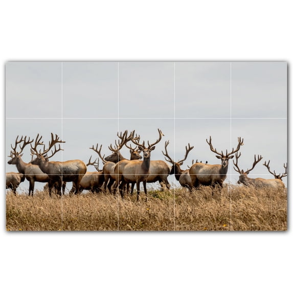 Picture-Tiles.com: Deer Ceramic Tile Wall Mural WAL500437-53S. 21.25"W x 12.75"H using (15) 4.25" x 4.25" Ceramic Tiles-Satin Finish