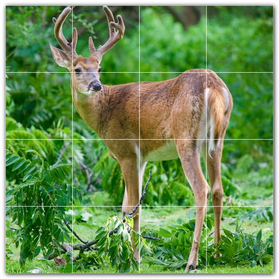 Picture-Tiles.com: Deer Ceramic Tile Wall Mural WAL500439-44S. 17"W x 17"H using (16) 4.25" x 4.25" Ceramic Tiles-Satin Finish