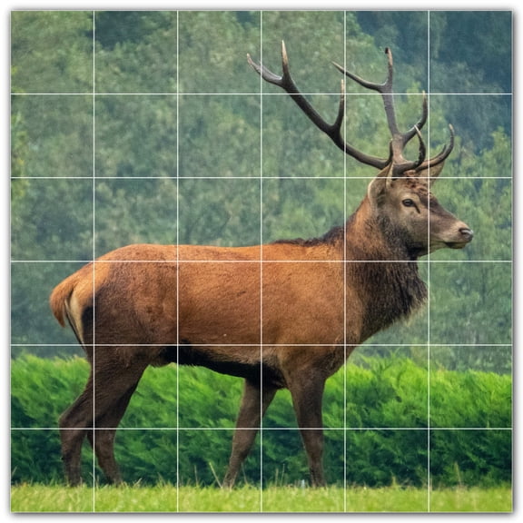 Picture-Tiles.com: Deer Ceramic Tile Wall Mural WAL500441-66M. 36"W x 36"H using (36) 6" x 6" Ceramic Tiles-Satin Finish