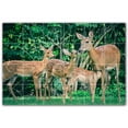 thumbnail image 1 of Picture-Tiles.com: Deer Ceramic Tile Wall Mural WAL500446-64XL. 72"W x 48"H using (24) 12" x 12" Ceramic Tiles-Satin Finish, 1 of 3