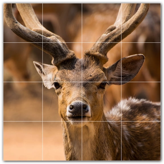 Picture-Tiles.com: Deer Ceramic Tile Wall Mural WAL500449-44M. 24"W x 24"H using (16) 6" x 6" Ceramic Tiles-Satin Finish