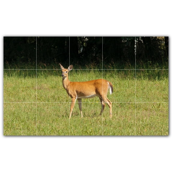 Picture-Tiles.com: Deer Ceramic Tile Wall Mural WAL500456-53M. 30"W x 18"H using (15) 6" x 6" Ceramic Tiles-Satin Finish
