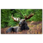 Picture-Tiles.com Deer Ceramic Tile Wall Mural WAL500463-53L. 40"W x 24"H using 15 8" x 8" Ceramic Tiles-Satin Finish
