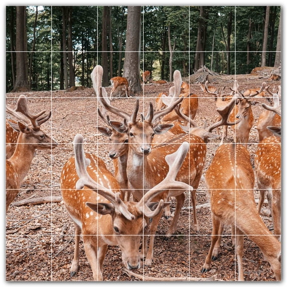 Picture-Tiles.com: Deer Ceramic Tile Wall Mural WAL500467-66XL. 72"W x 72"H using (36) 12" x 12" Ceramic Tiles-Satin Finish