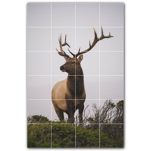 Picture-Tiles.com: Deer Ceramic Tile Wall Mural WAL500472-46S. 17"W x 25.5"H using (24) 4.25" x 4.25" Ceramic Tiles-Satin Finish