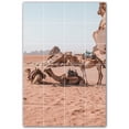 thumbnail image 1 of Picture-Tiles.com: Desert Ceramic Tile Wall Mural WAL500480-46S. 17"W x 25.5"H using (24) 4.25" x 4.25" Ceramic Tiles-Satin Finish, 1 of 3