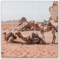 thumbnail image 1 of Picture-Tiles.com: Desert Ceramic Tile Wall Mural WAL500480-55L. 40"W x 40"H using (25) 8" x 8" Ceramic Tiles-Satin Finish, 1 of 3
