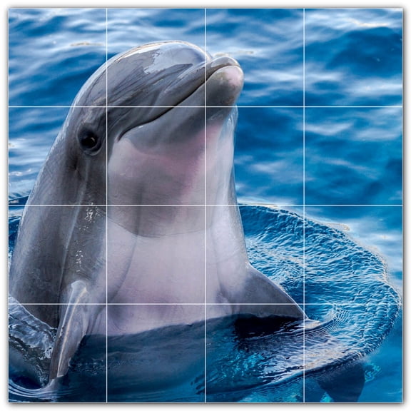Picture-Tiles.com: Dolphin Ceramic Tile Wall Mural WAL500495-44L. 32"W x 32"H using (16) 8" x 8" Ceramic Tiles-Satin Finish