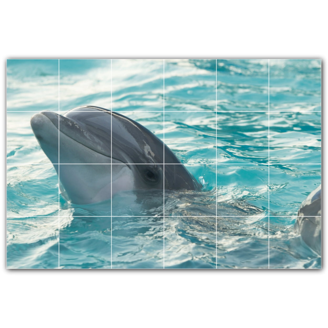 Picture-Tiles.com: Dolphin Ceramic Tile Wall Mural WAL500502-64XL. 72\, image size:1250x1250