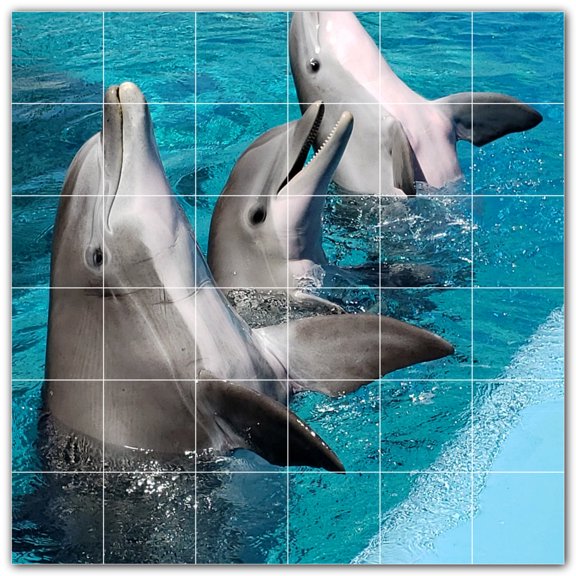 Picture-Tiles.com: Dolphin Ceramic Tile Wall Mural WAL500512-66S. 25.5"W x 25.5"H using (36) 4.25" x 4.25" Ceramic Tiles-Satin Finish