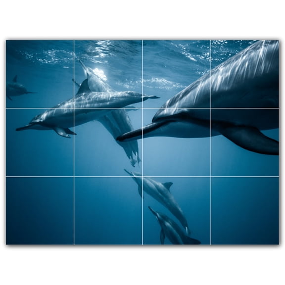Picture-Tiles.com: Dolphin Ceramic Tile Wall Mural WAL500521-43S. 17"W x 12.75"H using (12) 4.25" x 4.25" Ceramic Tiles-Satin Finish