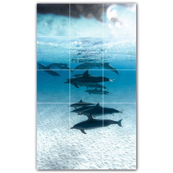 Picture-Tiles.com: Dolphin Ceramic Tile Wall Mural WAL500524-35M. 18"W x 30"H using (15) 6" x 6" Ceramic Tiles-Satin Finish