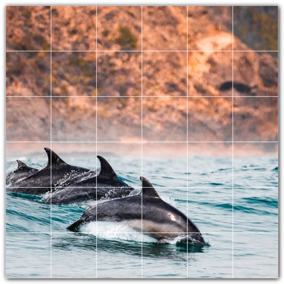 Picture-Tiles.com: Dolphin Ceramic Tile Wall Mural WAL500530-66M. 36"W x 36"H using (36) 6" x 6" Ceramic Tiles-Satin Finish