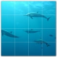 thumbnail image 1 of Picture-Tiles.com: Dolphin Ceramic Tile Wall Mural WAL500532-44L. 32"W x 32"H using (16) 8" x 8" Ceramic Tiles-Satin Finish, 1 of 3