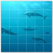 Picture-Tiles.com Dolphin Ceramic Tile Wall Mural WAL500532-66M. 36W x 36H using 36 6 x 6 Ceramic Tiles-Satin Finish