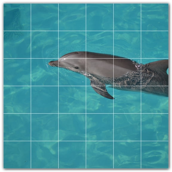Picture-Tiles.com: Dolphin Ceramic Tile Wall Mural WAL500534-66L. 48"W x 48"H using (36) 8" x 8" Ceramic Tiles-Satin Finish