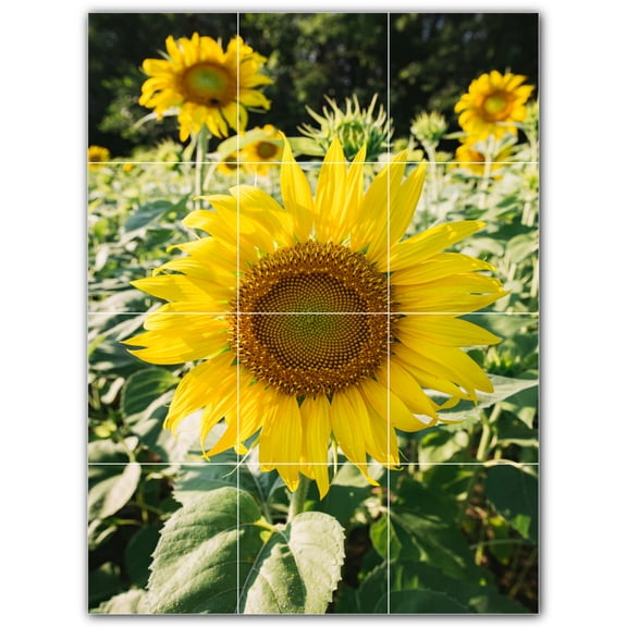 Picture-Tiles.com: Farm Ceramic Tile Wall Mural WAL500575-34M. 18"W x 24"H using (12) 6" x 6" Ceramic Tiles-Satin Finish