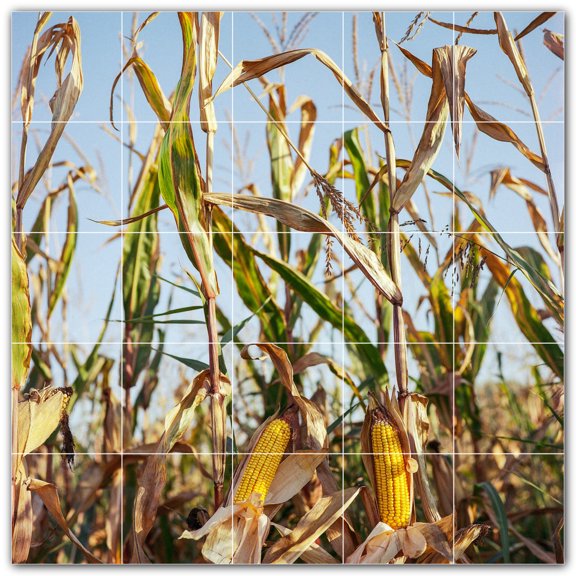 Picture-Tiles.com: Farm Ceramic Tile Wall Mural WAL500587-55XL. 60"W x 60"H using (25) 12" x 12" Ceramic Tiles-Satin Finish