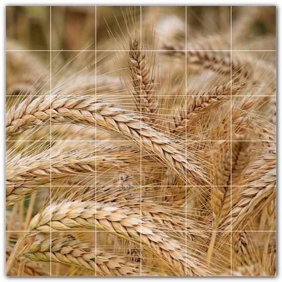 Picture-Tiles.com: Farm Ceramic Tile Wall Mural WAL500595-66M. 36"W x 36"H using (36) 6" x 6" Ceramic Tiles-Satin Finish