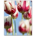 thumbnail image 1 of Picture-Tiles.com: Flowers Ceramic Tile Wall Mural WAL500628-45XL. 48"W x 60"H using (20) 12" x 12" Ceramic Tiles-Satin Finish, 1 of 3