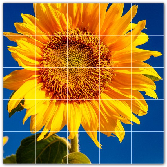 Picture-Tiles.com: Flowers Ceramic Tile Wall Mural WAL500639-55M. 30"W x 30"H using (25) 6" x 6" Ceramic Tiles-Satin Finish