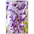thumbnail image 1 of Picture-Tiles.com: Flowers Ceramic Tile Wall Mural WAL500658-46M. 24"W x 36"H using (24) 6" x 6" Ceramic Tiles-Satin Finish, 1 of 3